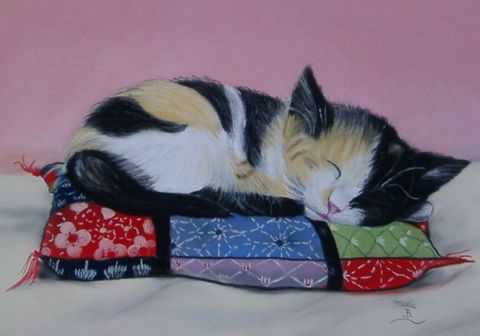Chat Francette